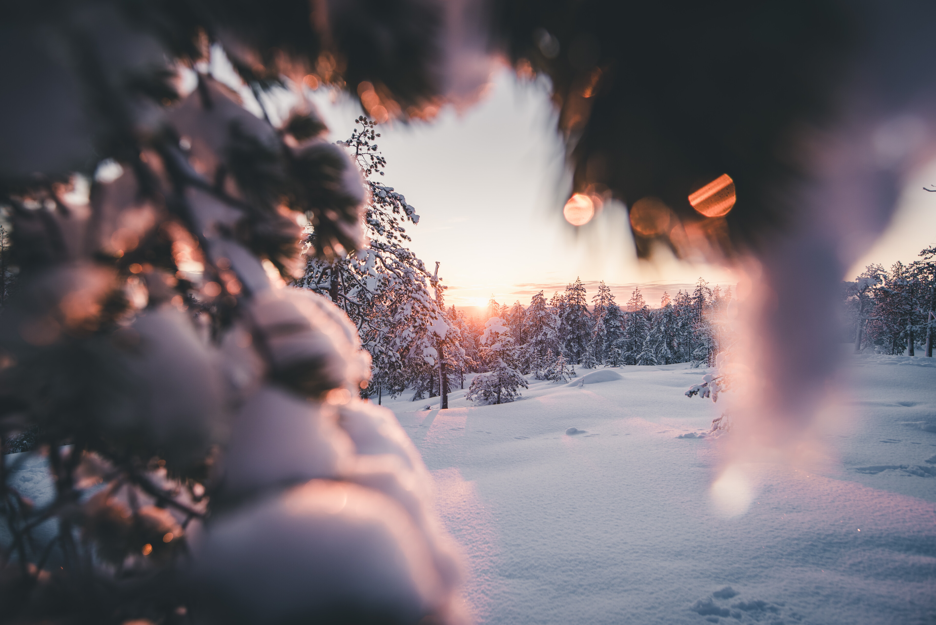Winter scenery with snow and sunset in Rovaniemi, Lapland, Finland.