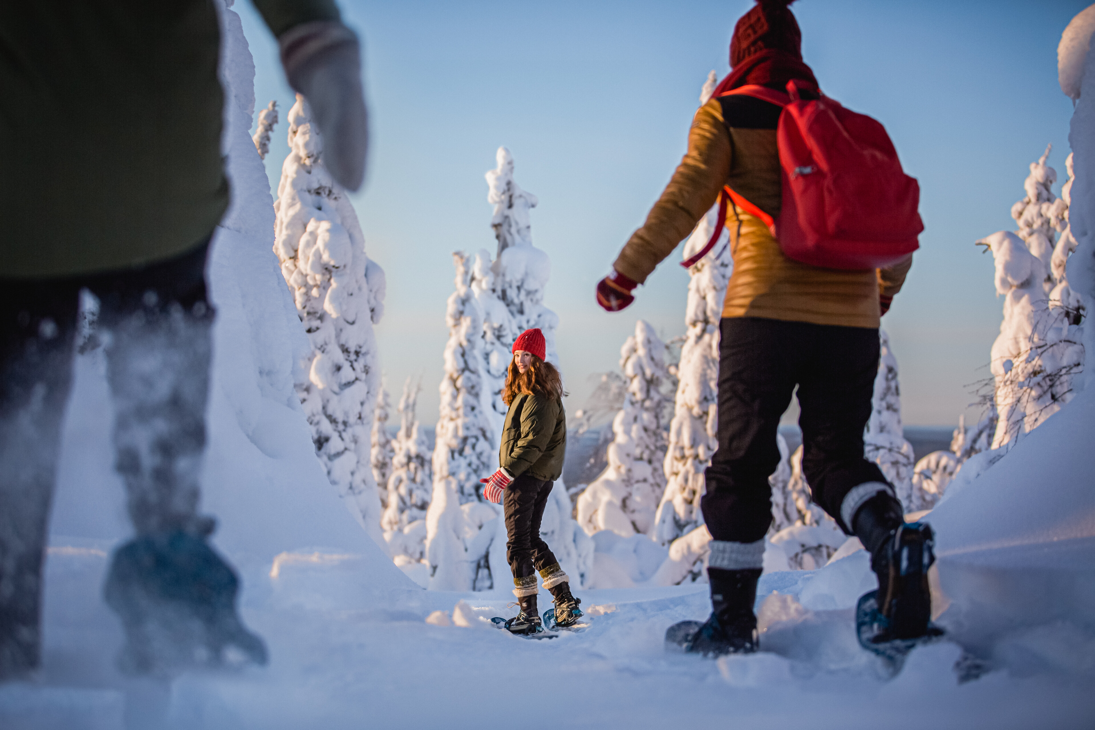 Ihmisiä nauttimassa talvesta, lumesta ja auringosta lumikengillä lumisessa maisemassa Rovaniemellä, Lapissa.