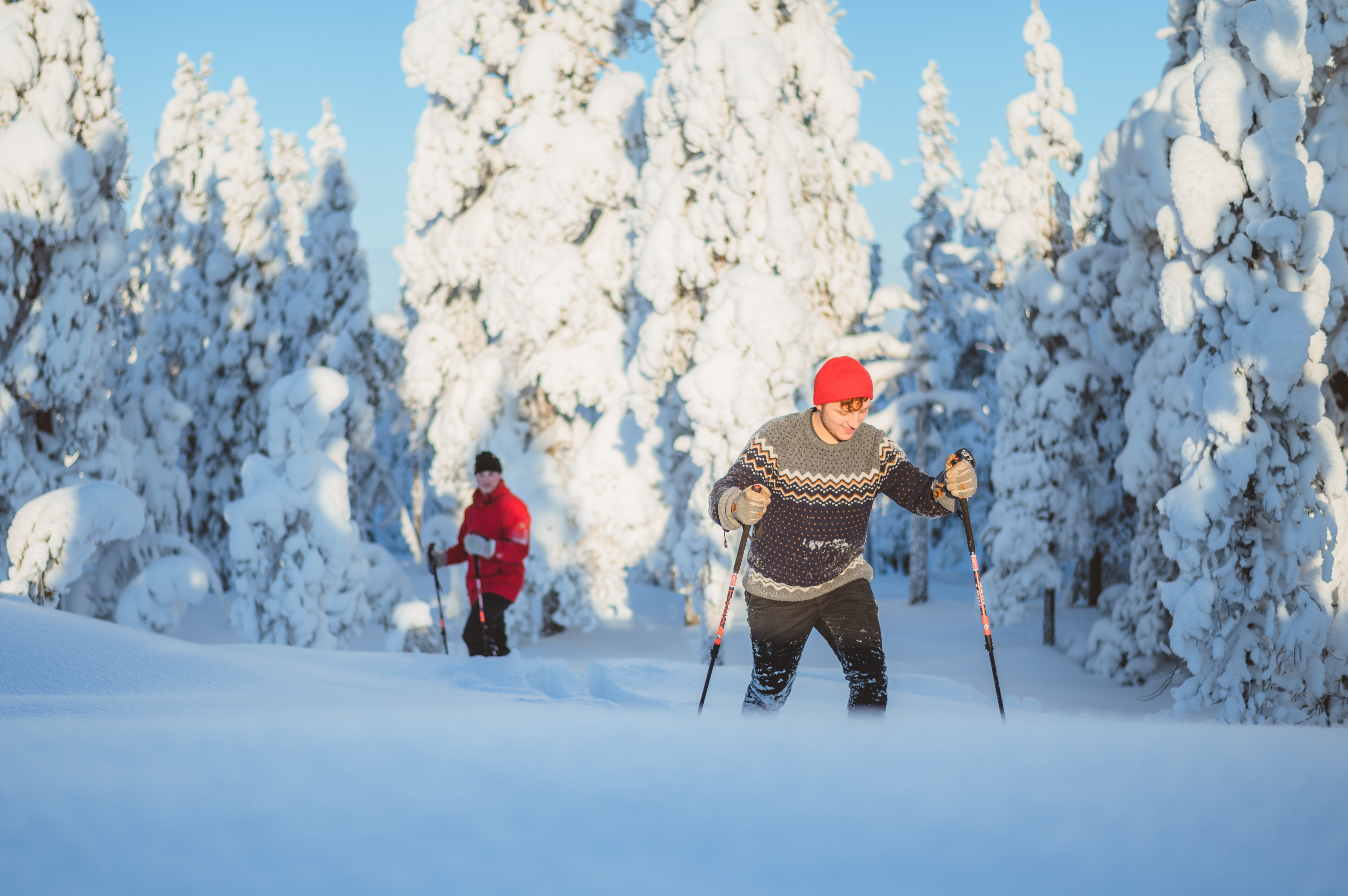 Ihmisiä nauttimassa talvesta, lumesta ja auringosta lumikengillä lumisessa maisemassa Rovaniemellä, Lapissa.