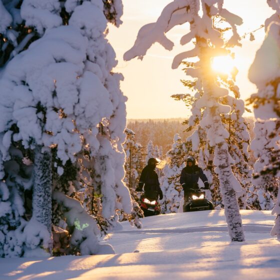 Snowmobile excursion in snowy winter forest, Rovaniemi, Lapland, Finland