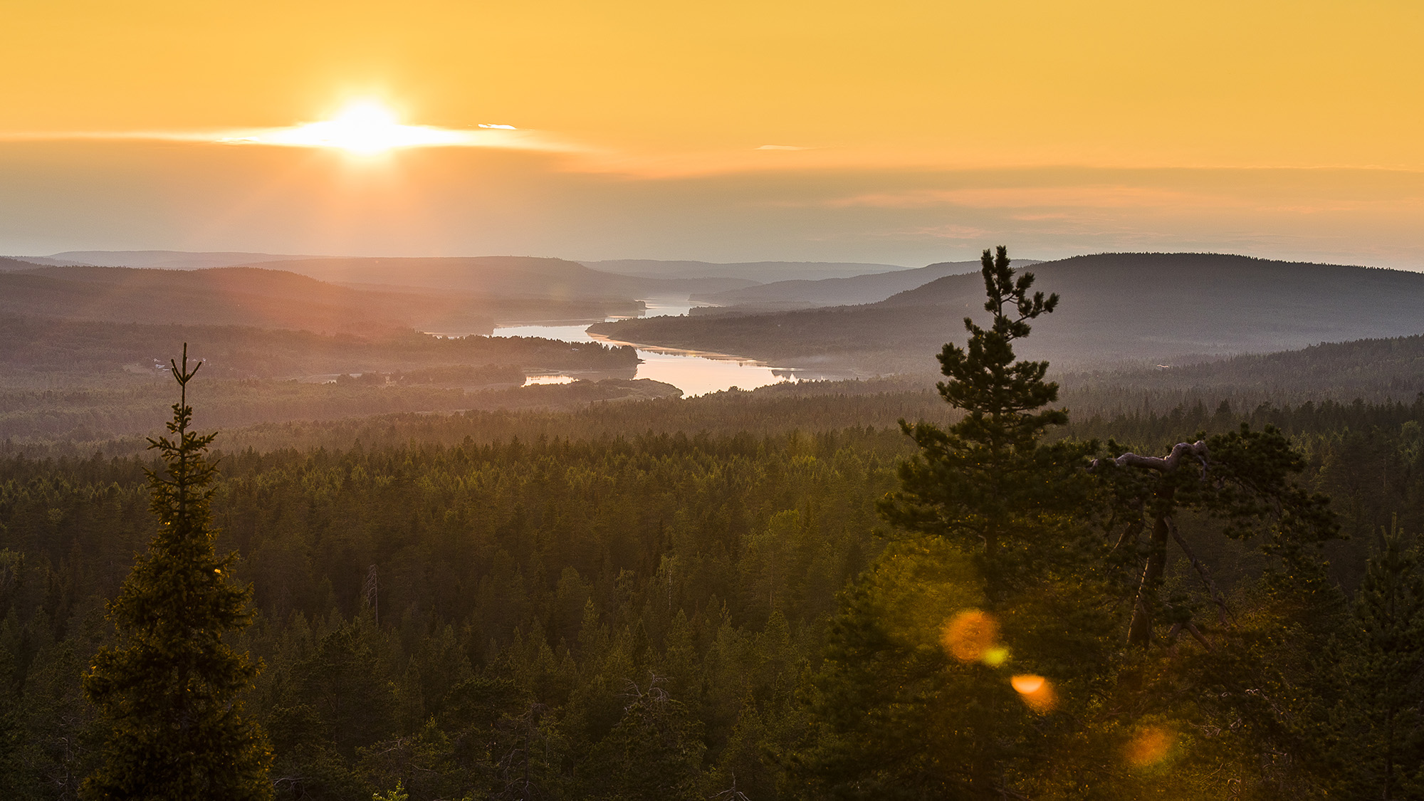 Ilmakuva maisemasta, jossa joki ja metsää kesällä keskiyön auringossa Rovaniemellä, Lapissa.