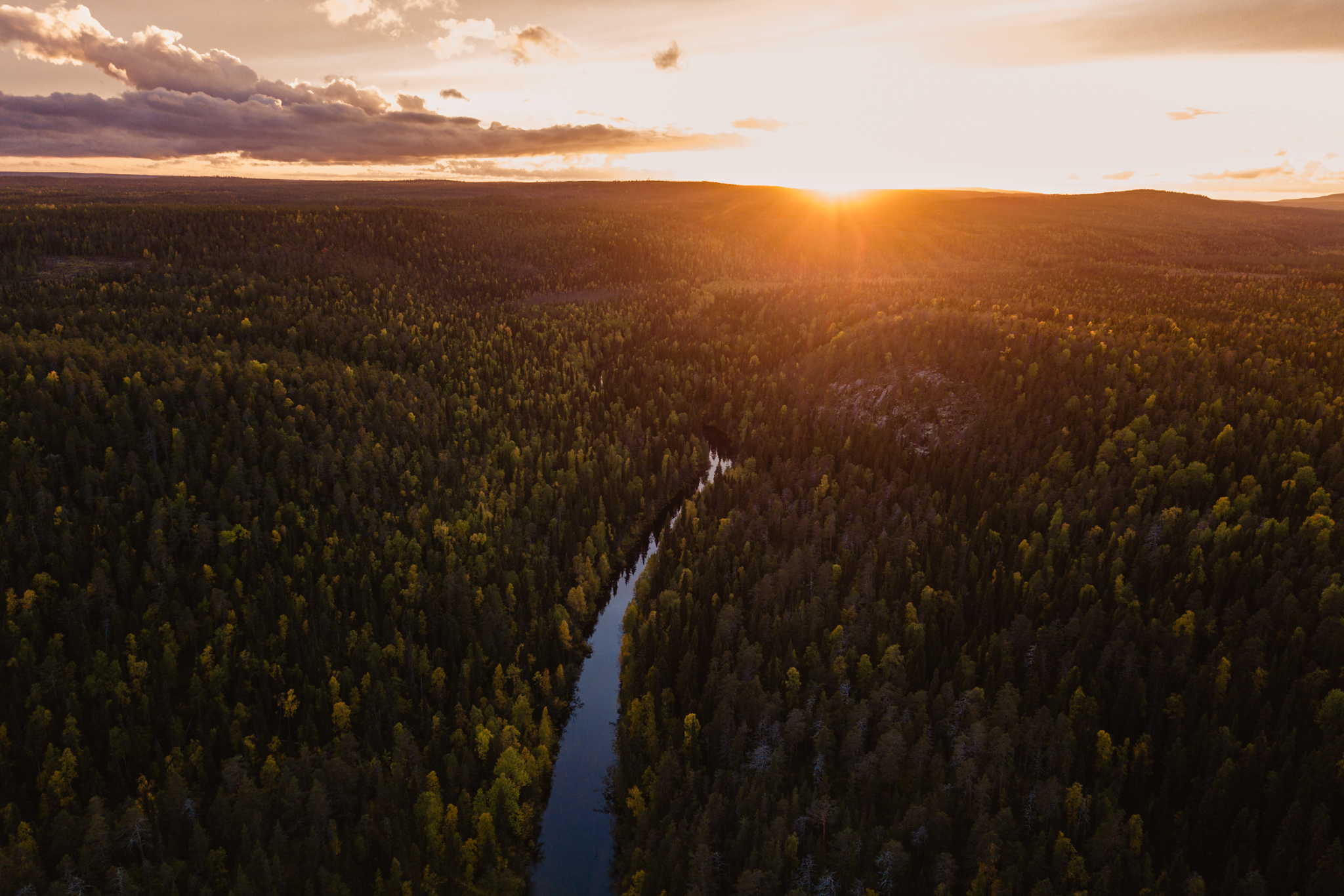 Ilmakuva maisemasta, jossa joki ja metsää kesällä keskiyön auringossa Rovaniemellä, Lapissa.