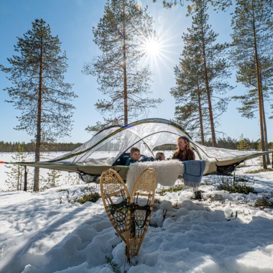 Tentsile Accommodation in Metsa Kolo, Lapland, Finland