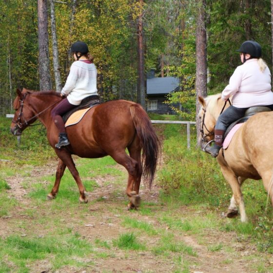 Trail riding, Kotatuli Experience, Rovaniemi, Lapland, Finland