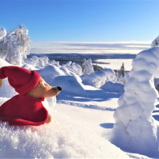 Valley Shop Surku character, Rovaniemi, Lapland, Finland