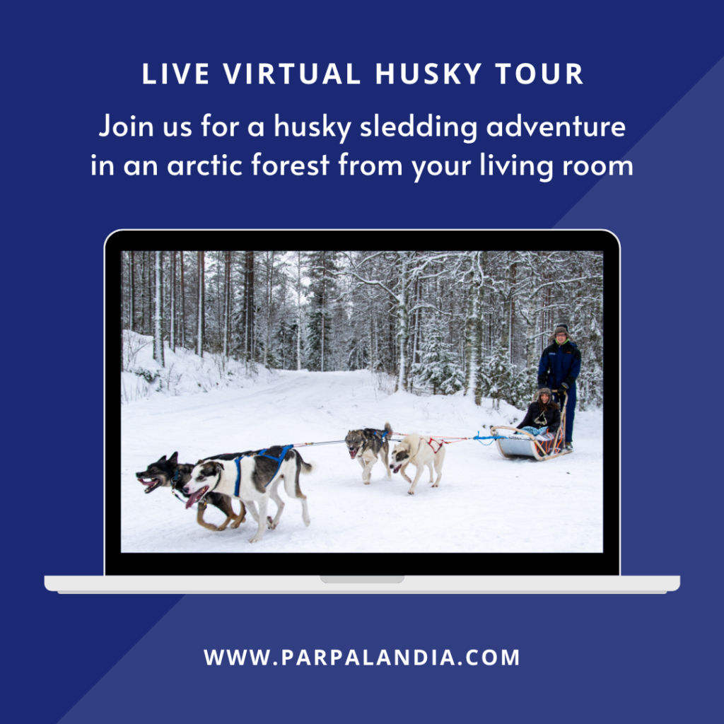 Virtual Husky Tour Parpalandia in Rovaniemi Lapland Finland