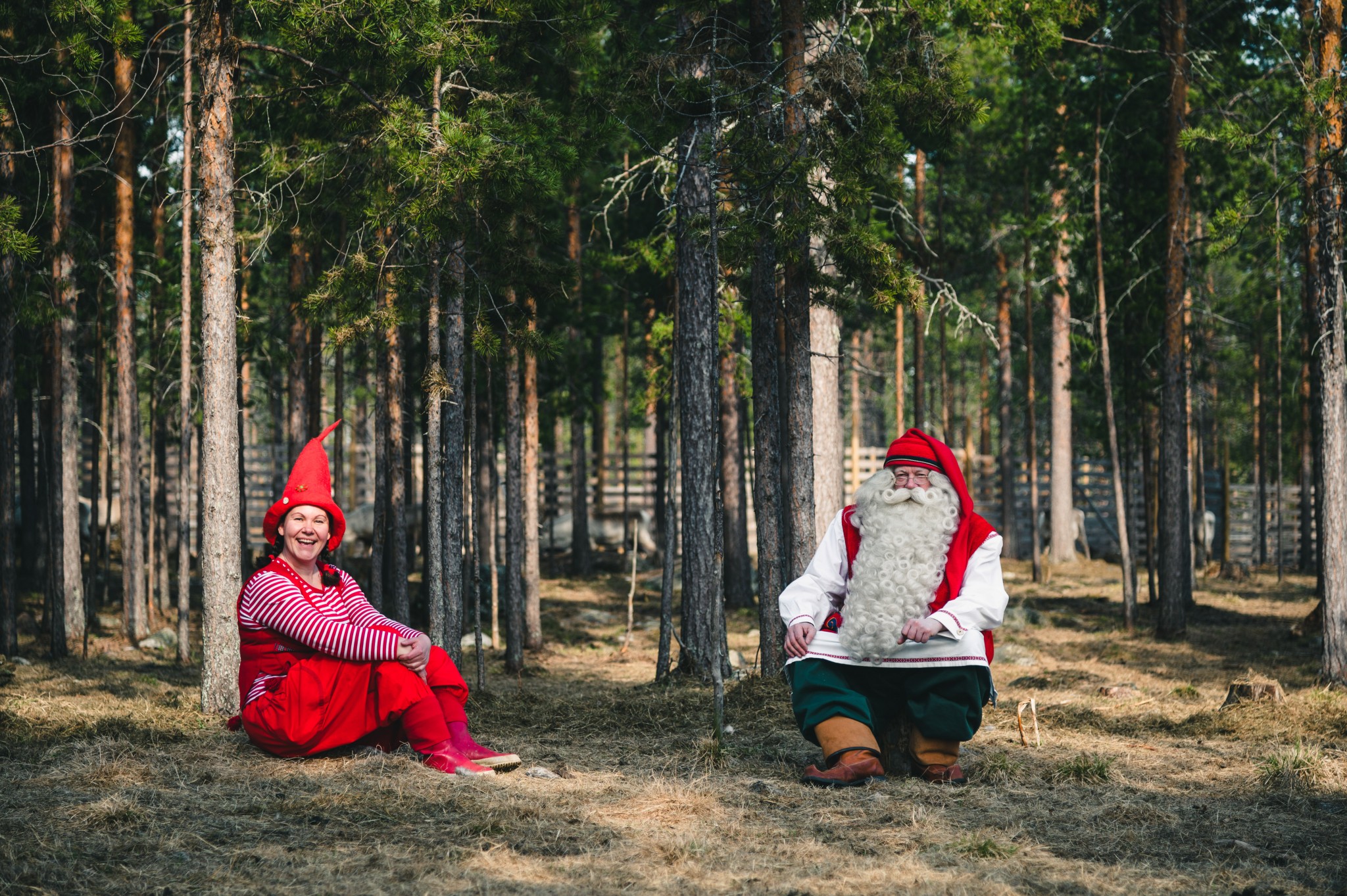 Santa Claus and Elf sitting in nature during Spring time in Rovaniemi, Lapland, Finland