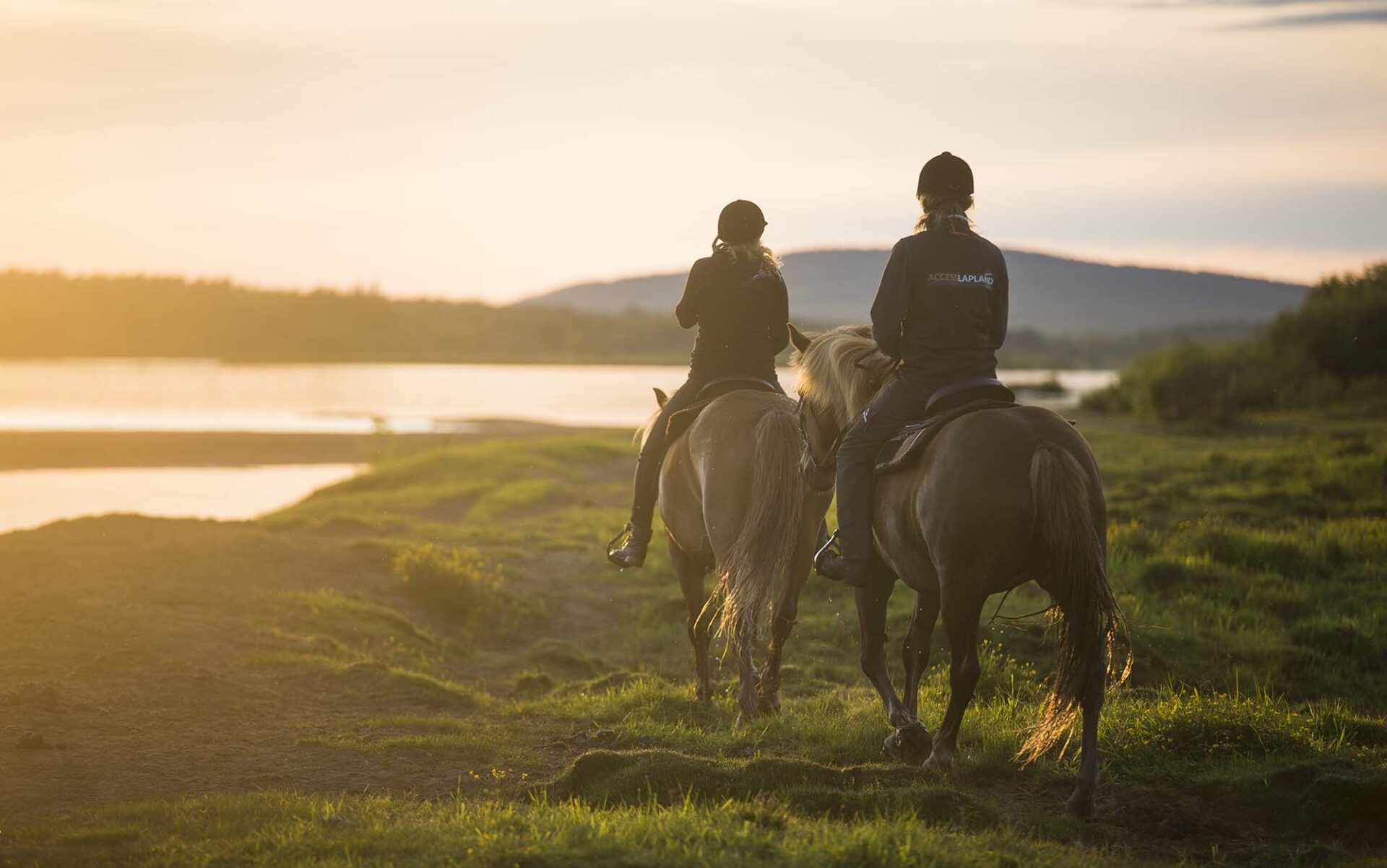 Best Riding Animals Discover The Arctic Animals, Huskies And Reindeer