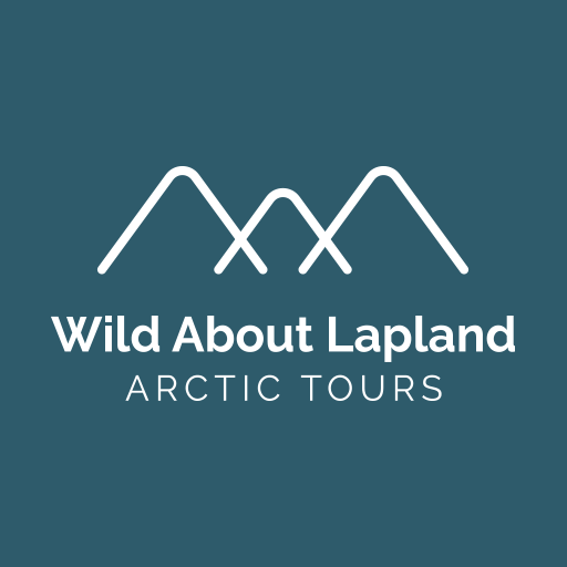 Wild About Lapland in Rovaniemi Lapland Finland