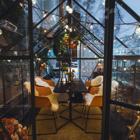 Wintergardenyuca21restaurantRovaniemiLapland