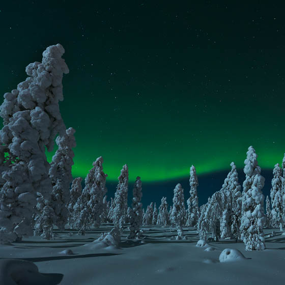 Katso Rovaniemen monipuoliset aktiviteetit - Visit Rovaniemi