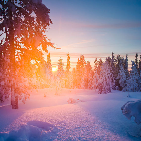 Winter landscape in Rovaniemi, Lapland, Finland
